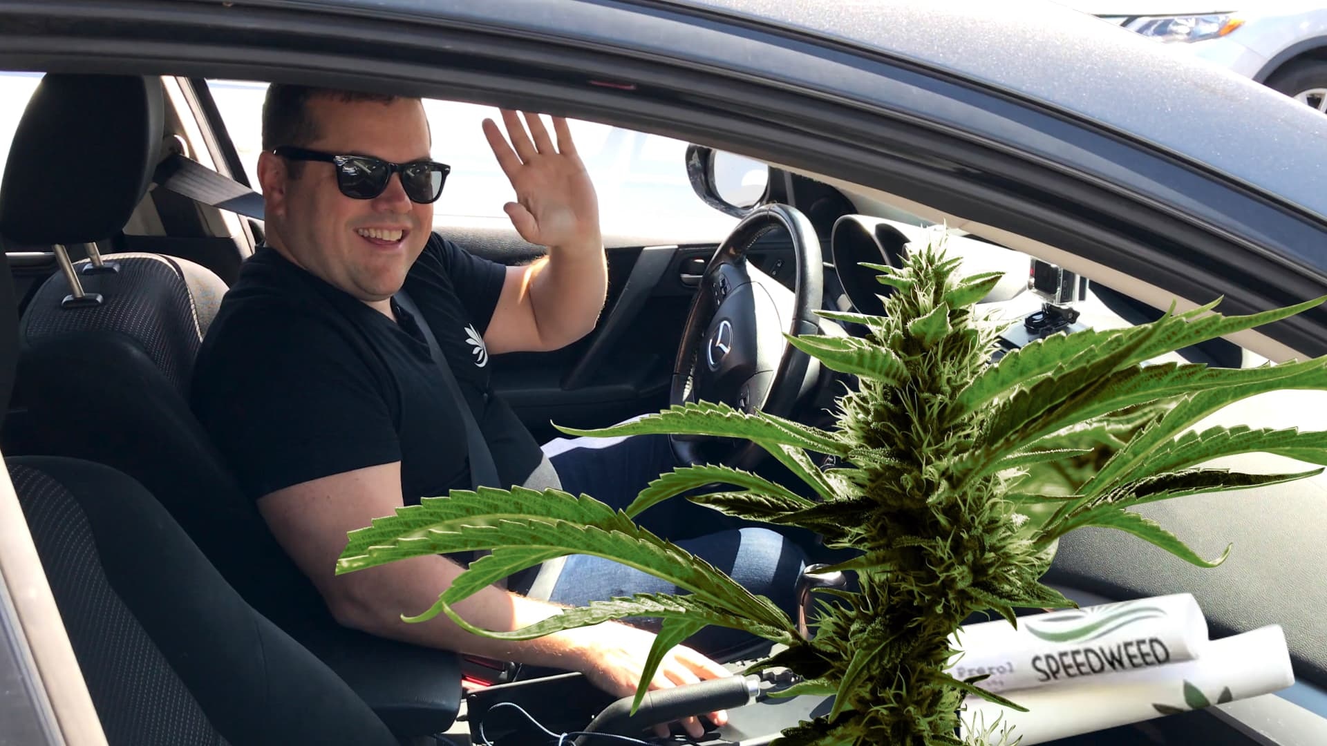 Premium Quality at Atlantic Cannabis Canada: Your Guide to Superior Cannabis Choices
